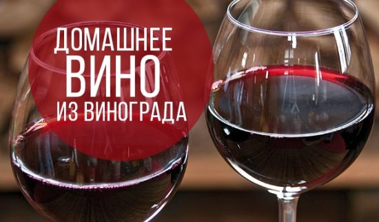 Вино из винограда Изабелла в домашних условиях: простой рецепт с фото
