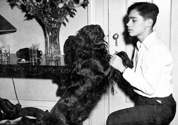 Маленький Владимир Познер с любимой собакой