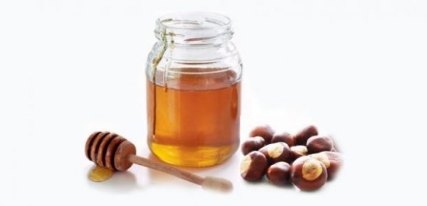 Каштановый мёд: полезные свойства и противопоказания, как принимать