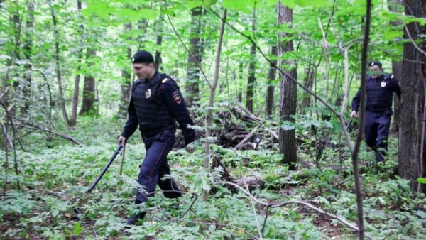 В Битцевском парке было найдено три обезображенных трупа