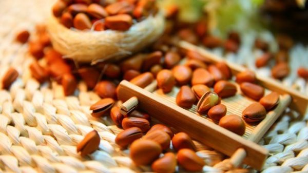 Сибирские кедровые орехи являются самым полезным продуктом