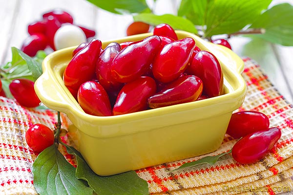 Кизил: польза и вред для организма, применение ягод кизила
