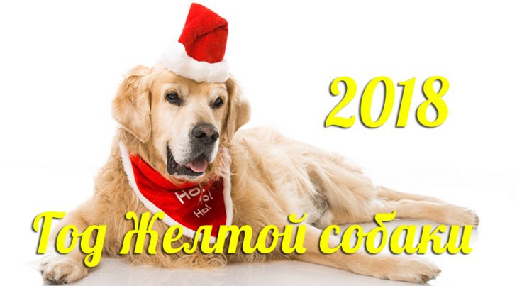 С новым 2017 годом! @