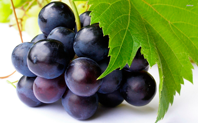 Черный виноград: фото