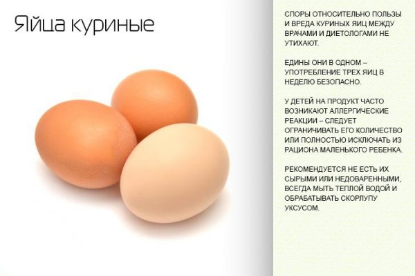 Меры предосторожности при употреблении яиц