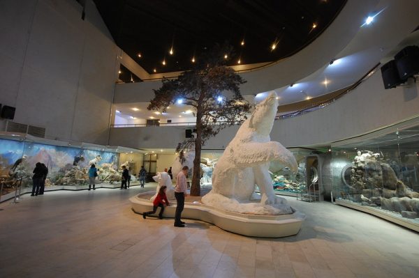 Государственный Музей Дарвина