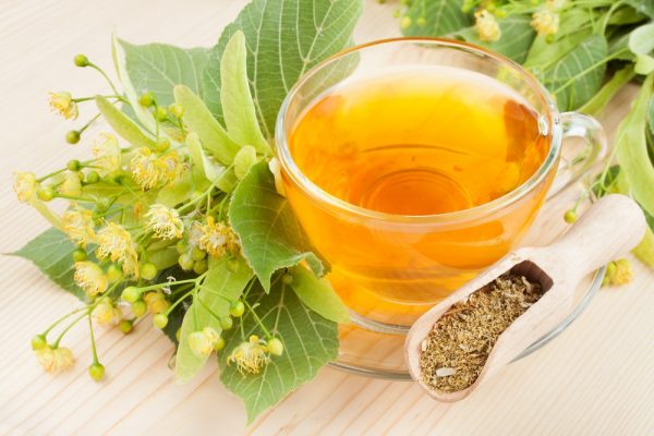 Польза липового чая при простудных заболеваниях