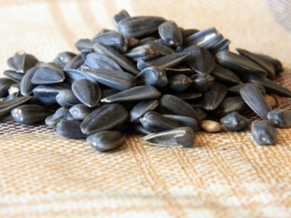 В семенах подсолнечника содержится большое количество витамина А