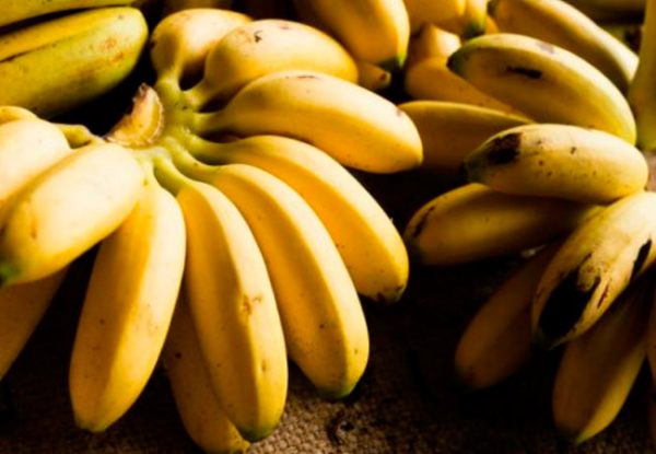 Существуют разные сорта бананов