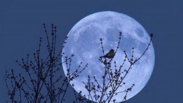 Лунный календарь на декабрь 2018 года: фазы Луны, лунные дни
