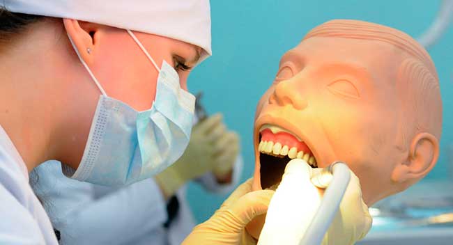 Обучение на стоматолога в будущем обязательно принесет выгоду