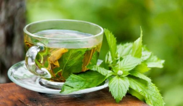 Чай из малиновых листьев поможет вылечить простуду