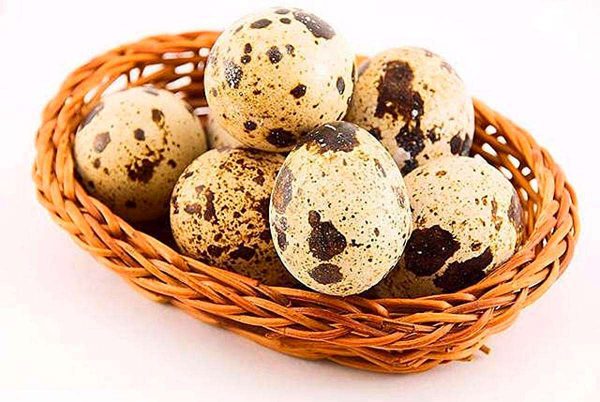 От употребления перепелиных яиц стоит отказаться при атеросклерозе