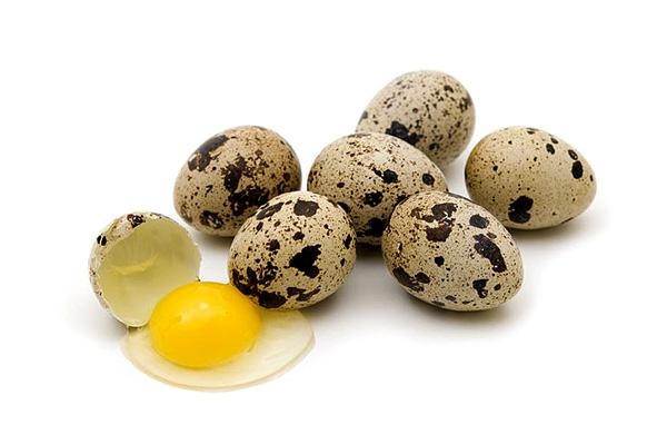 Перепелиные яйца помогут укрепить мужское здоровье