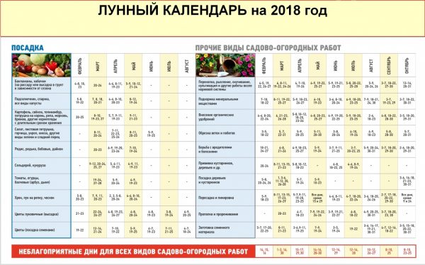 Лунный календарь посева семян на рассаду