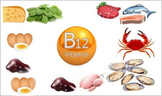 Чудо-витамин B12: в каких продуктах он содержится