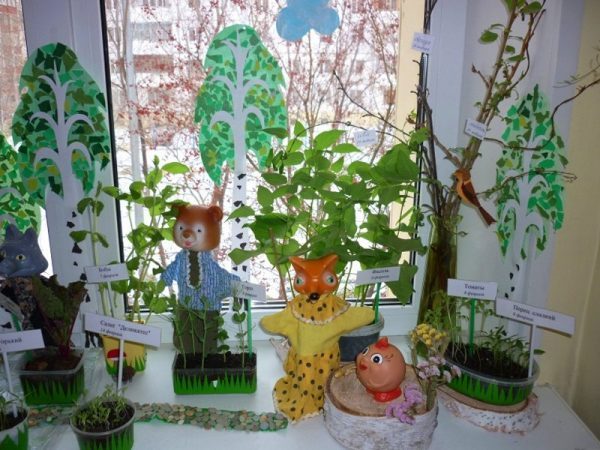 Огород на окне в детском саду: оформление в виде сказки, фото