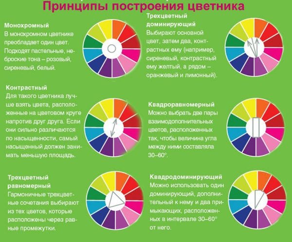 Сочетание и соседство цветов