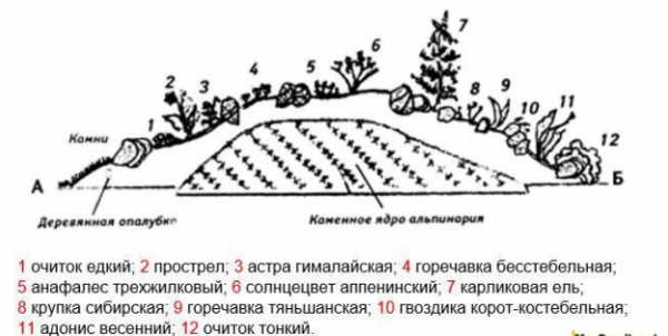 Схемы альпийских горок (с названиями растений)