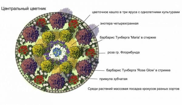Центральная клумба
