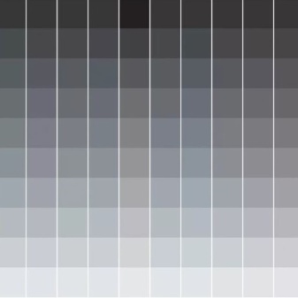 Серый цвет в интерьере: сочетается ли серый цвет с голубым и розовым, желтым, зеленым и другими тонами в интерьере?
