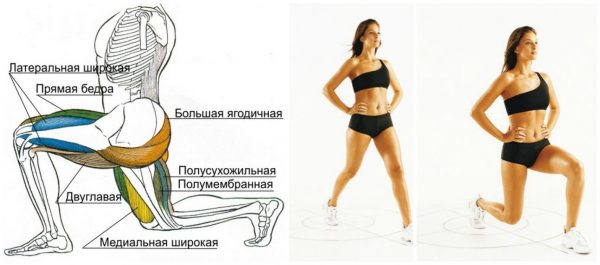 Упражнения на ягодицах