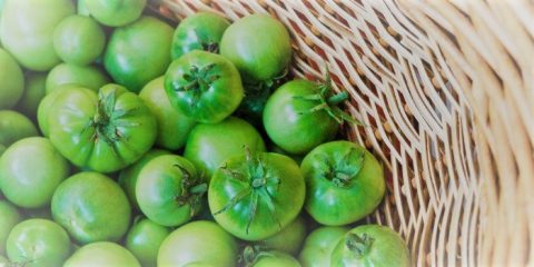 Салат из зеленых помидор на зиму без стерилизации: рецепты с фото