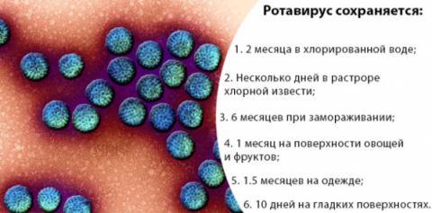 Схема лечения при ротовирусе у детей