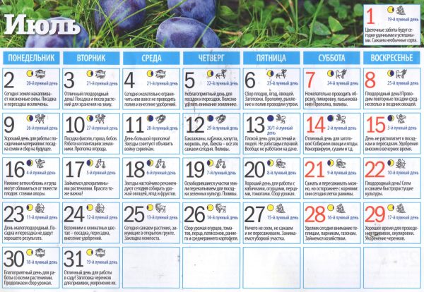 Календарь на июль 2018