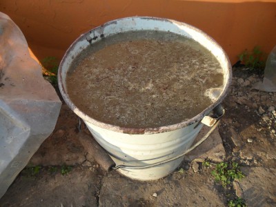 Настой коровяка