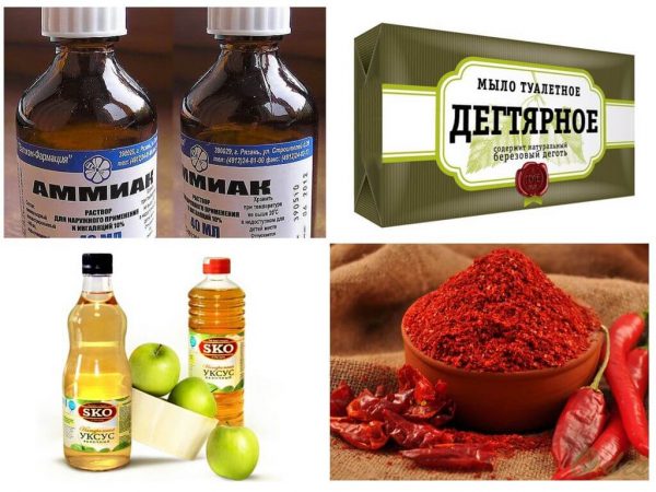 Народные средства от тли