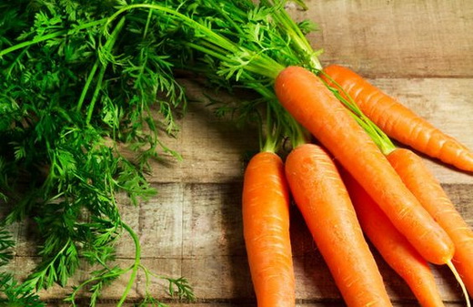 Как посадить морковь в открытый грунт