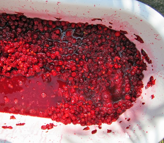 Выложить ягоды в подходящую емкость и отжать ягоды руками