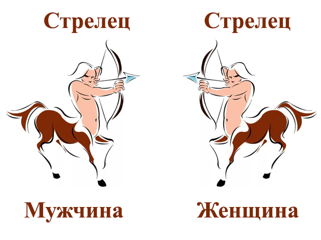 Совместимость женщины стрельца и мужчины стрельца: в любви, вбраке