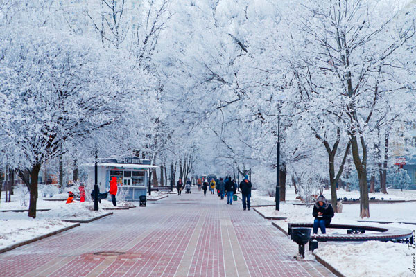 Какая будет зима 2018-2019 в Ростовской области: точный прогноз погоды