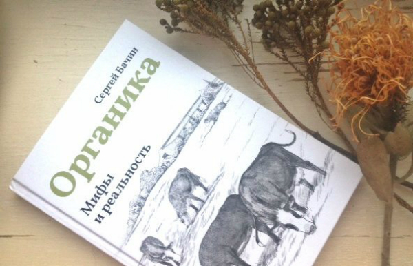 Сергей Бачин – прогрессивный российский новатор