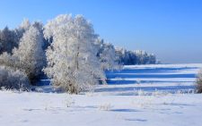 Какая будет зима 2018-2019 года в Сибири