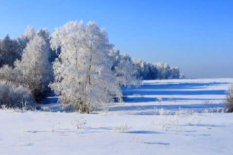 Какая будет зима 2018-2019 года в Сибири