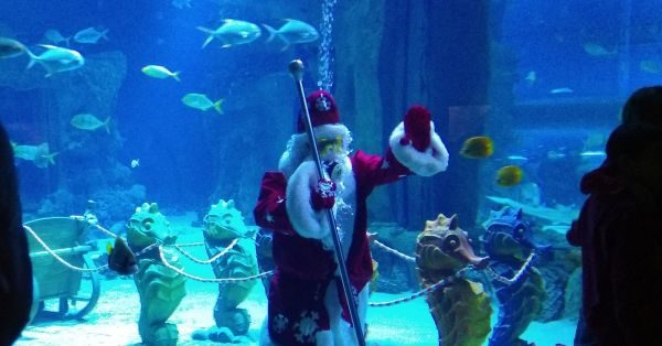 Подводный Дед Мороз