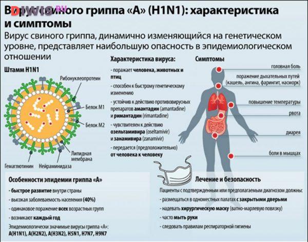 Эпидемия гриппа в Санкт-Петербурге