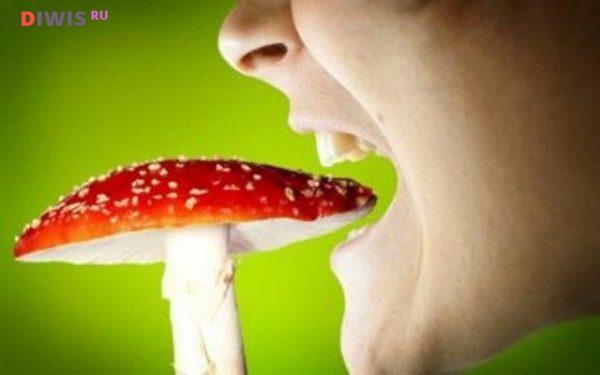 Первые симптомы отравления грибами