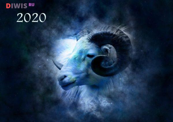 Что ожидает знаки зодиака по гороскопу от Василисы Володиной в 2020 году