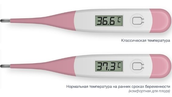 Как мерить базальную температуру для определения беременности