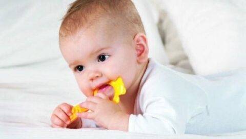 Как режутся зубки у детей - последовательность прорезывания молочных и постоянных зубов