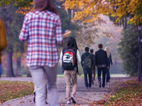 Что будет актуально в профессиях в ближайшие годы