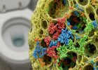 Крупный план микроскопического среза кухонной губки с видимыми колониями различных бактерий