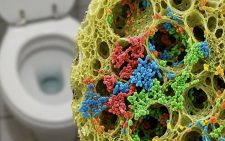 Крупный план микроскопического среза кухонной губки с видимыми колониями различных бактерий