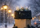 Доставка цветов в зимний период